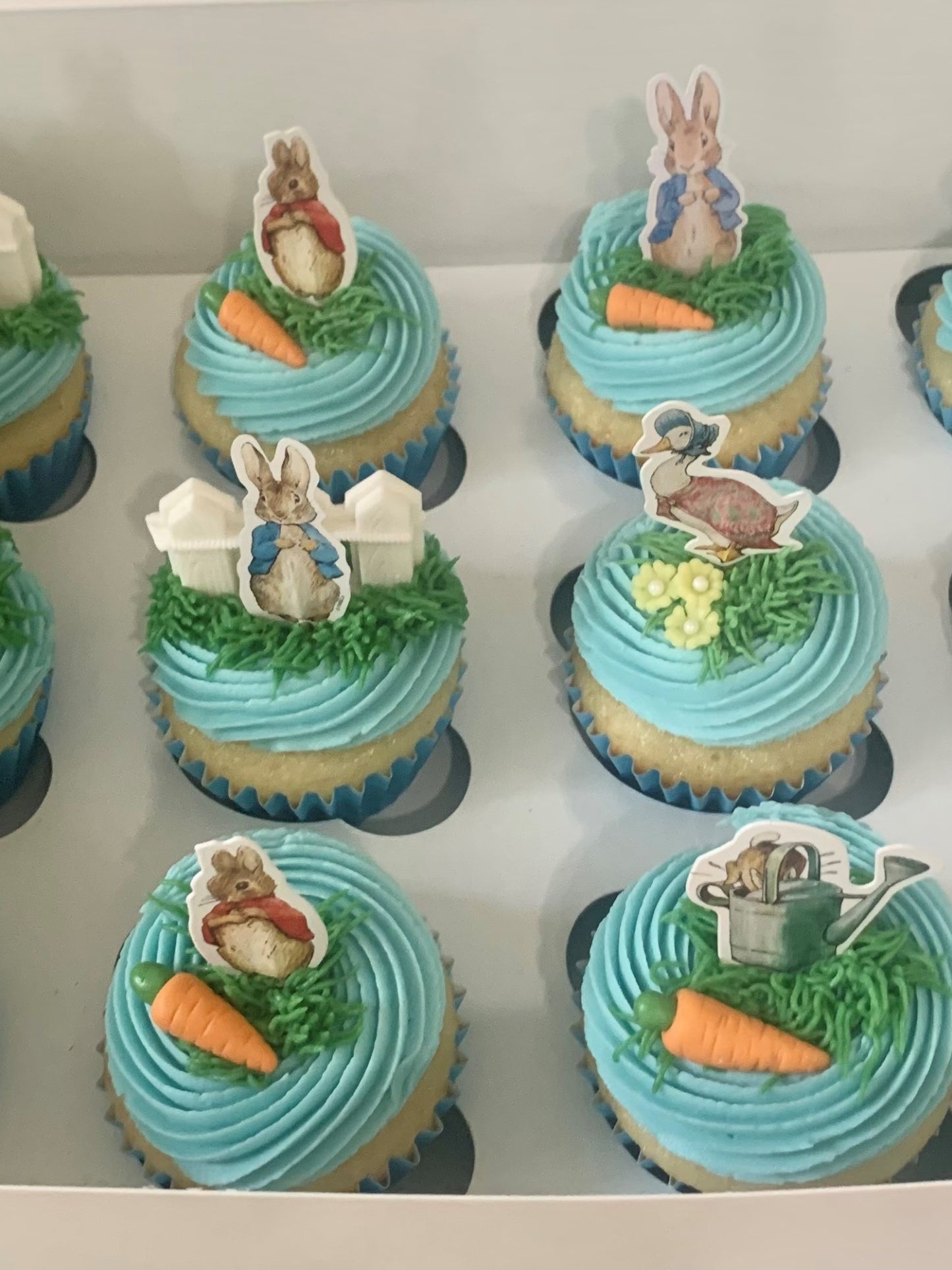 Sarah's Cakes dozen Peter Rabbit themed cupcakes with blue frosting, green grass icing, and edible toppers.